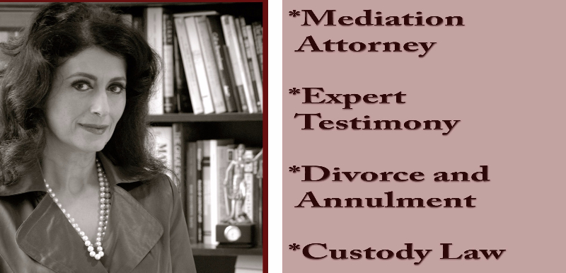How to Choose a Mediator Image