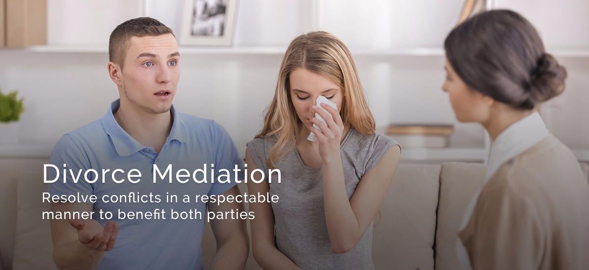 Divorce mediation business plan bundle